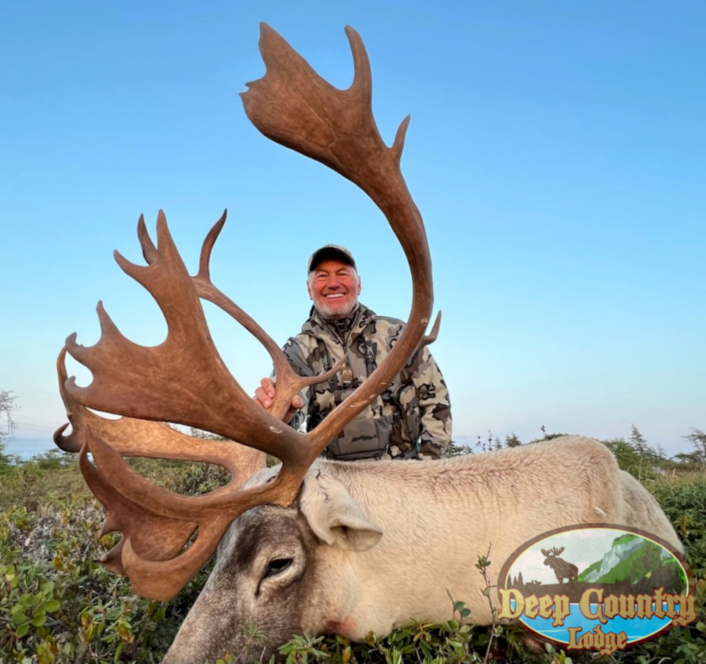 Woodland Caribou, Newfoundland Canada, Deep Country Lodge